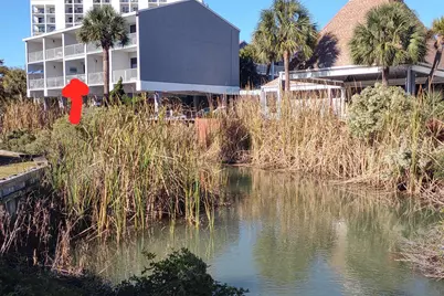 6803 N Ocean Blvd. #203, Myrtle Beach, SC 29572 - Photo 24