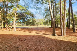 171 Snowbell Ln, Pawleys Island, SC 29585 - Photo 36