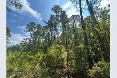 185 Legion St., Dillon, SC 29536 - Photo 8