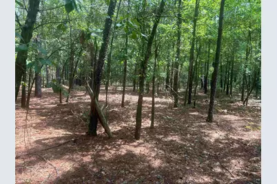 185 Legion St., Dillon, SC 29536 - Photo 28