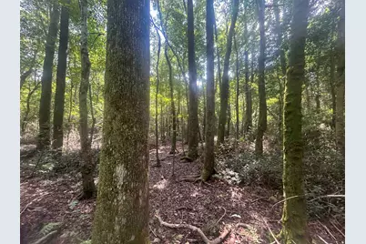 185 Legion St., Dillon, SC 29536 - Photo 20
