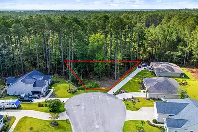 200 Joanna Gillard Ln., Georgetown, SC 29440 - Photo 8