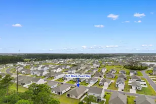 347 Black Pearl Wy, Myrtle Beach, SC 29588 - Photo 32