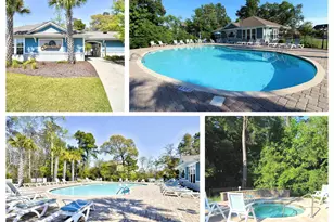 1405 Turtle Ct, North Myrtle Beach, SC 29582 - Photo 56
