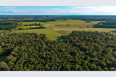 Tbd Peach Orchard Rd., Rembert, SC 29128 - Photo 12