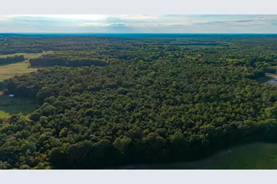 Tbd Peach Orchard Rd., Rembert, SC 29128 - Photo 2
