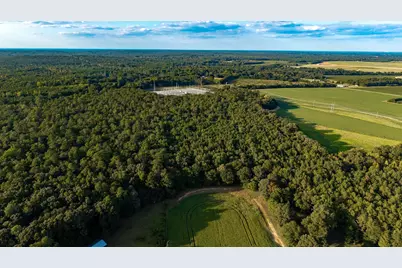 Tbd Peach Orchard Rd., Rembert, SC 29128 - Photo 4