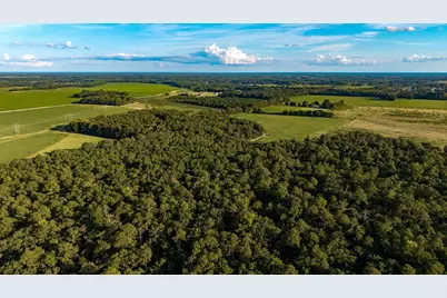 Tbd Peach Orchard Rd., Rembert, SC 29128 - Photo 6