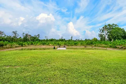 8812 Thurgood Marshall Hwy., Andrews, SC 29510 - Photo 46