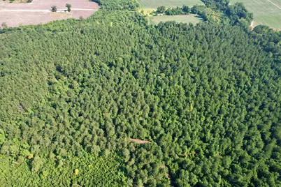 54.5 Acres Epps Rd., New Zion, SC 29111 - Photo 16