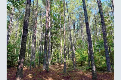 54.5 Acres Epps Rd., New Zion, SC 29111 - Photo 4