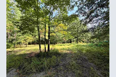 54.5 Acres Epps Rd., New Zion, SC 29111 - Photo 1