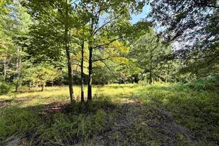 54 5 Acres Epps Rd, New Zion, SC 29111 - Photo 1