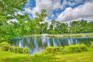 5541 Plantersville Pl, Myrtle Beach, SC 29579 - Photo 42