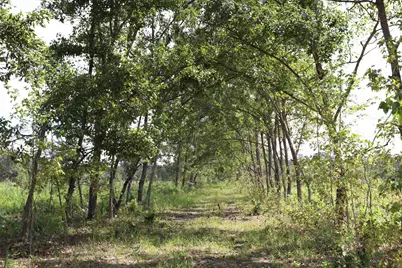 0 Old Forreston Rd., Greeleyville, SC 29056 - Photo 24