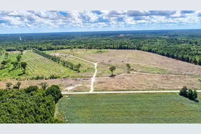 0 Old Forreston Rd., Greeleyville, SC 29056 - Photo 4