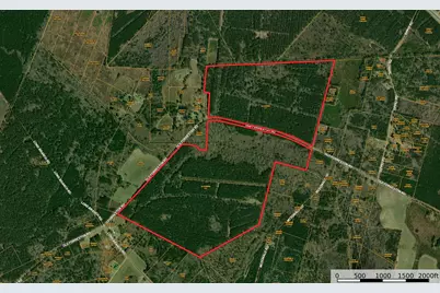 0 Old Forreston Rd., Greeleyville, SC 29056 - Photo 1