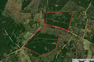0 Old Forreston Rd, Greeleyville, SC 29056 - Photo 1