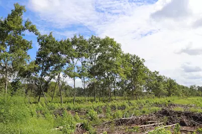 0 Old Forreston Rd., Greeleyville, SC 29056 - Photo 26