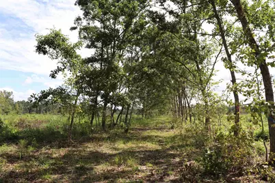 0 Old Forreston Rd., Greeleyville, SC 29056 - Photo 22