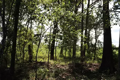 0 Old Forreston Rd., Greeleyville, SC 29056 - Photo 8