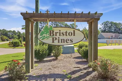 117 Maggie Way, Myrtle Beach, SC 29588 - Photo 32
