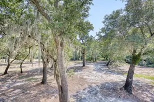 1250 Vera Rd, Longs, SC 29568 - Photo 30