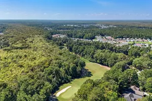 146 Blackwater Dr, Murrells Inlet, SC 29576 - Photo 44