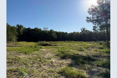15+/- Acres-976 New Pine Rd., Johnsonville, SC 29555 - Photo 8