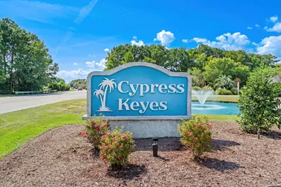 9813 Simonton Ct., Murrells Inlet, SC 29576 - Photo 38