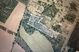 Sunflower Dr, Cades, SC 29518 - Photo 1