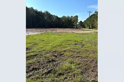 2647 Allen Dew Rd., Conway, SC 29527 - Photo 4