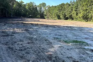 2647 Allen Dew Rd, Conway, SC 29527 - Photo 1