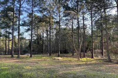 2108 Lees Landing Circle, Conway, SC 29526 - Photo 2