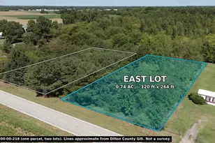 Tbd Black Branch Rd, Dillon, SC 29536 - Photo 1