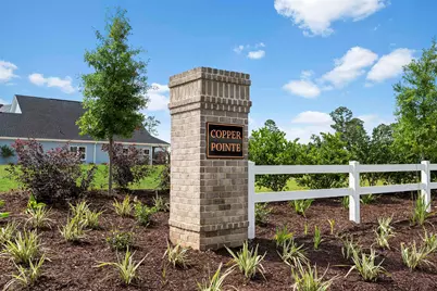 192 Copper Pointe Loop, Conway, SC 29526 - Photo 2