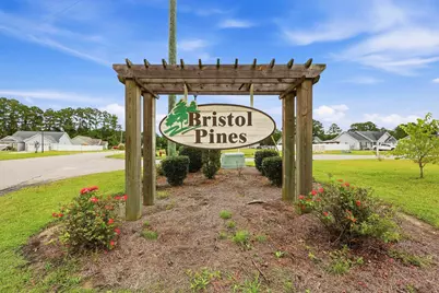 152 Maggie Way, Myrtle Beach, SC 29588 - Photo 48