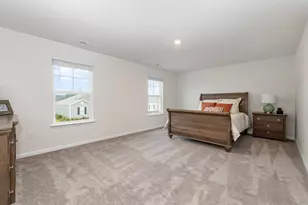 552 Haflinger Pl, Galivants Ferry, SC 29544 - Photo 18