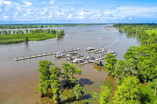 265 Nesting Pond Ct, Pawleys Island, SC 29585 - Photo 66