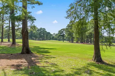 255 Candlewood Dr., Conway, SC 29526 - Photo 52