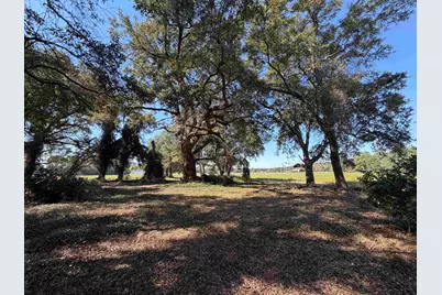 Lot 2 - Sumter Hwy., Kingstree, SC 29556 - Photo 12