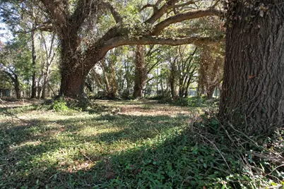Lot 2 - Sumter Hwy., Kingstree, SC 29556 - Photo 2