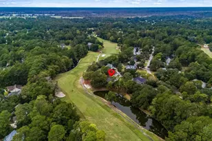 41 Spicebush Ln, Pawleys Island, SC 29585 - Photo 68