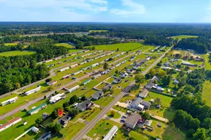 459 Hallie Martin Rd, Conway, SC 29527 - Photo 64
