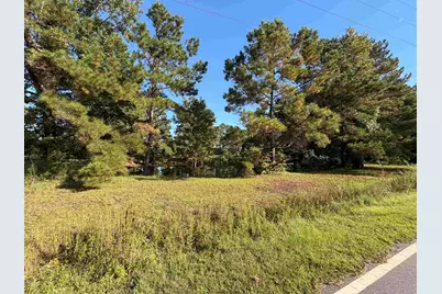 Tract 2 Wise Rd., Conway, SC 29526 - Photo 2