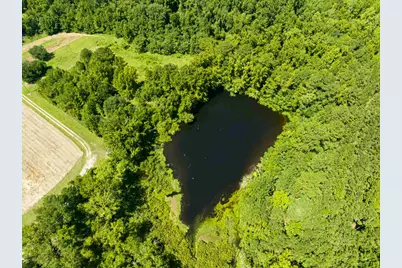 1569 Dave Plowden Pond Rd, Manning, SC 29102 - Photo 26
