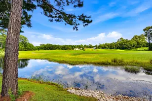 1004 Muskeg Ct, Conway, SC 29526 - Photo 40