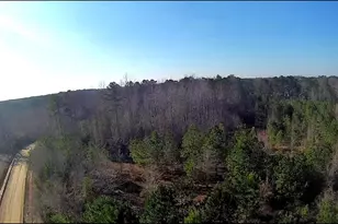 Tbd 13 Tyler Rd, Galivants Ferry, SC 29544 - Photo 24