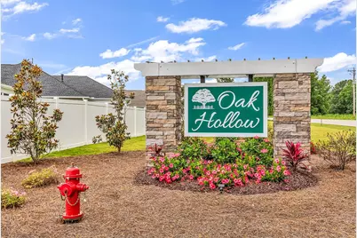 409 White Willow Way, Longs, SC 29568 - Photo 46