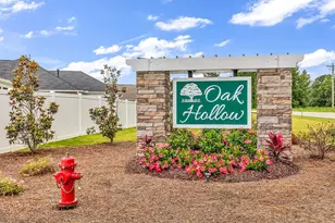 409 White Willow Wy, Longs, SC 29568 - Photo 46
